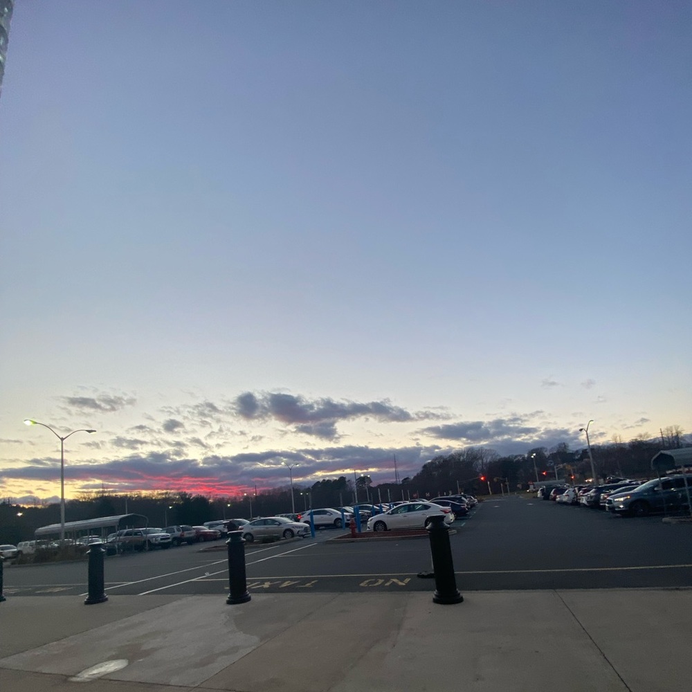 Meet your Posher, Allie